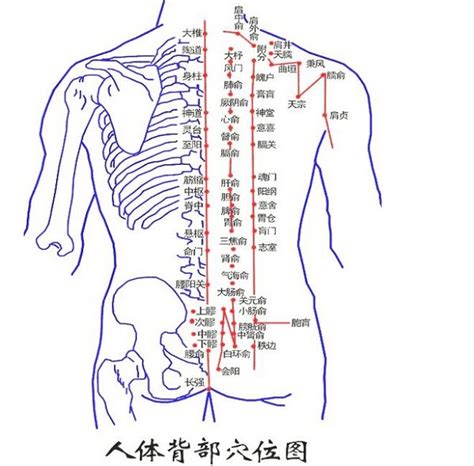 背后痣|背部有痣图解大全 背部有痣的人看命运